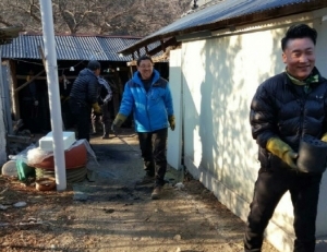 기사이미지