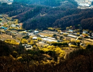 기사이미지