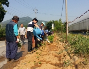 기사이미지