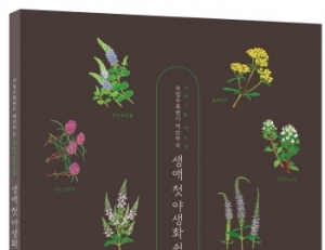 기사이미지