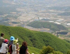 기사이미지