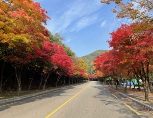 기사이미지