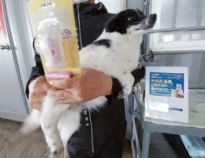 기사이미지
