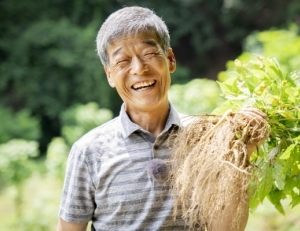 기사이미지