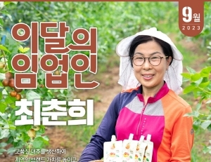 기사이미지