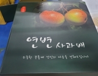 기사이미지